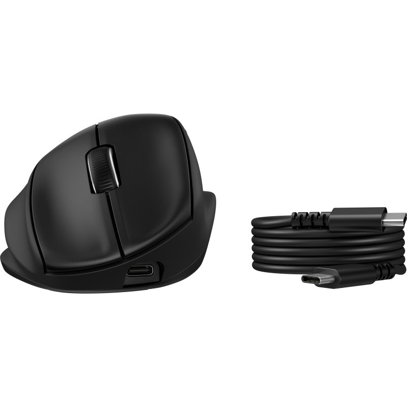 HP Souris ergonomique inclinable 725M