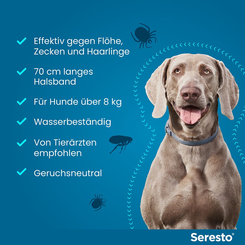 Seresto® Halsband für große Hunde ab 8 kg