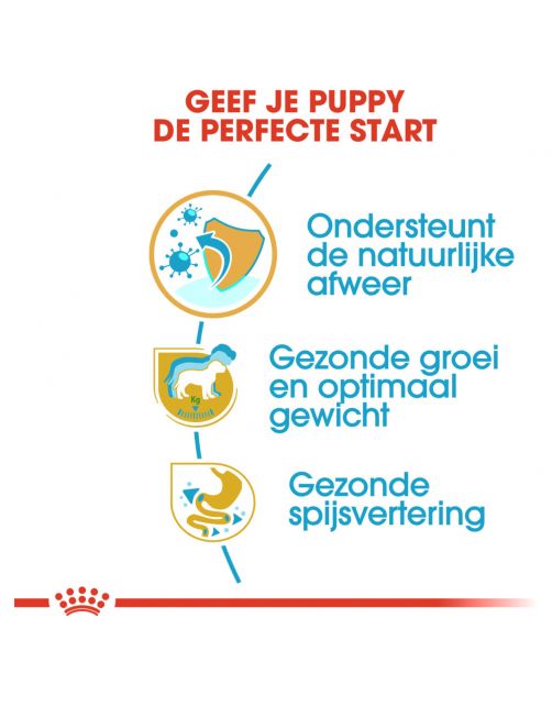 Royal Canin Labrador Retriever - Puppy-Hondenvoer