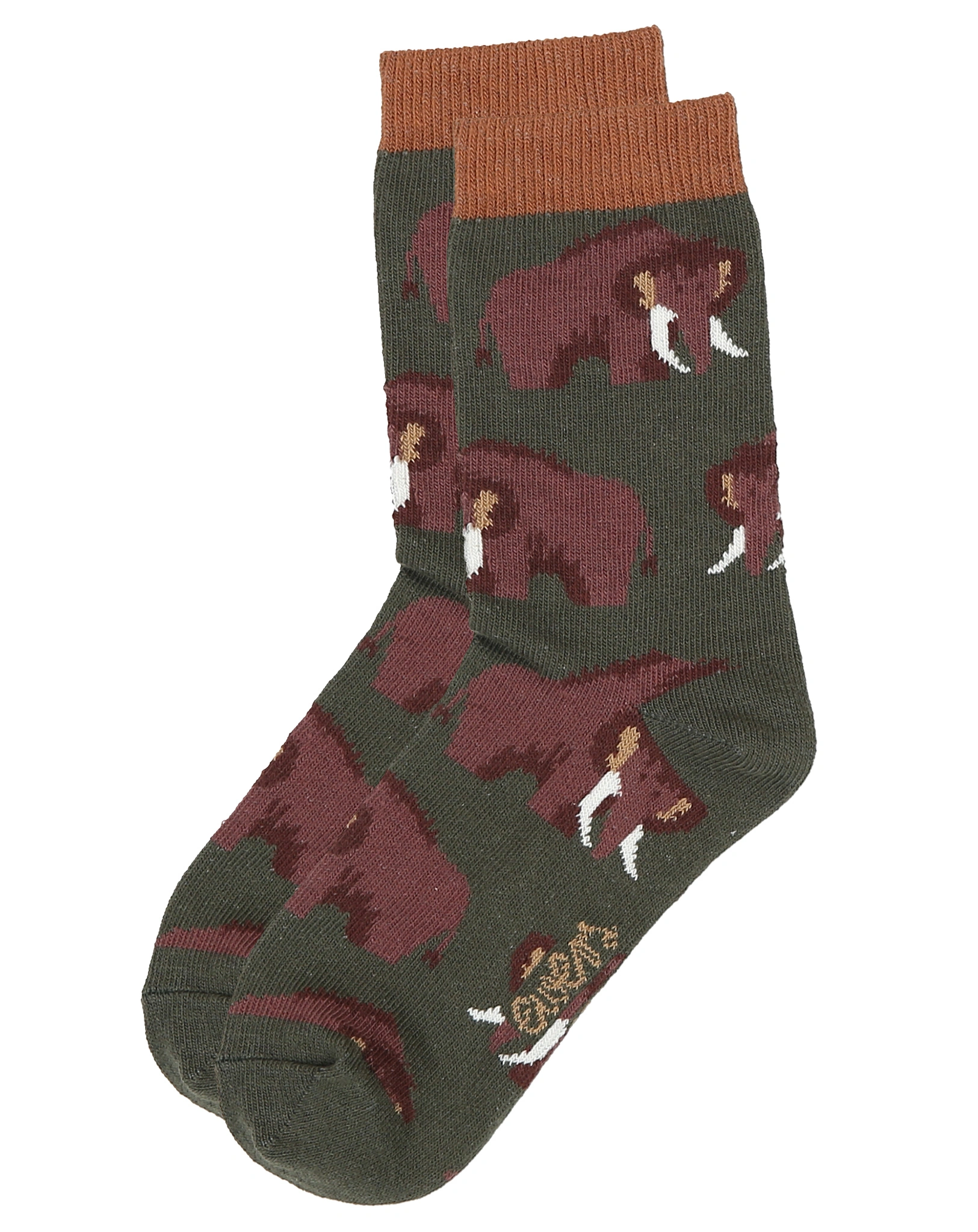 Socken MAMMUT 2-er Pack in olive/mocca