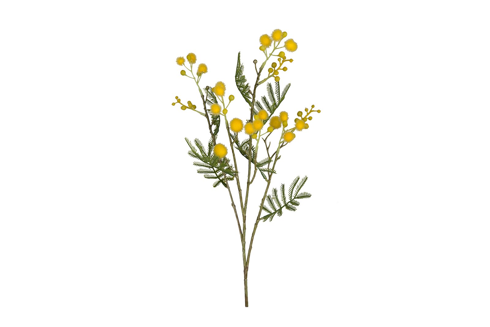 Mimosa stilkblomst Grønn/Gul H60 cm