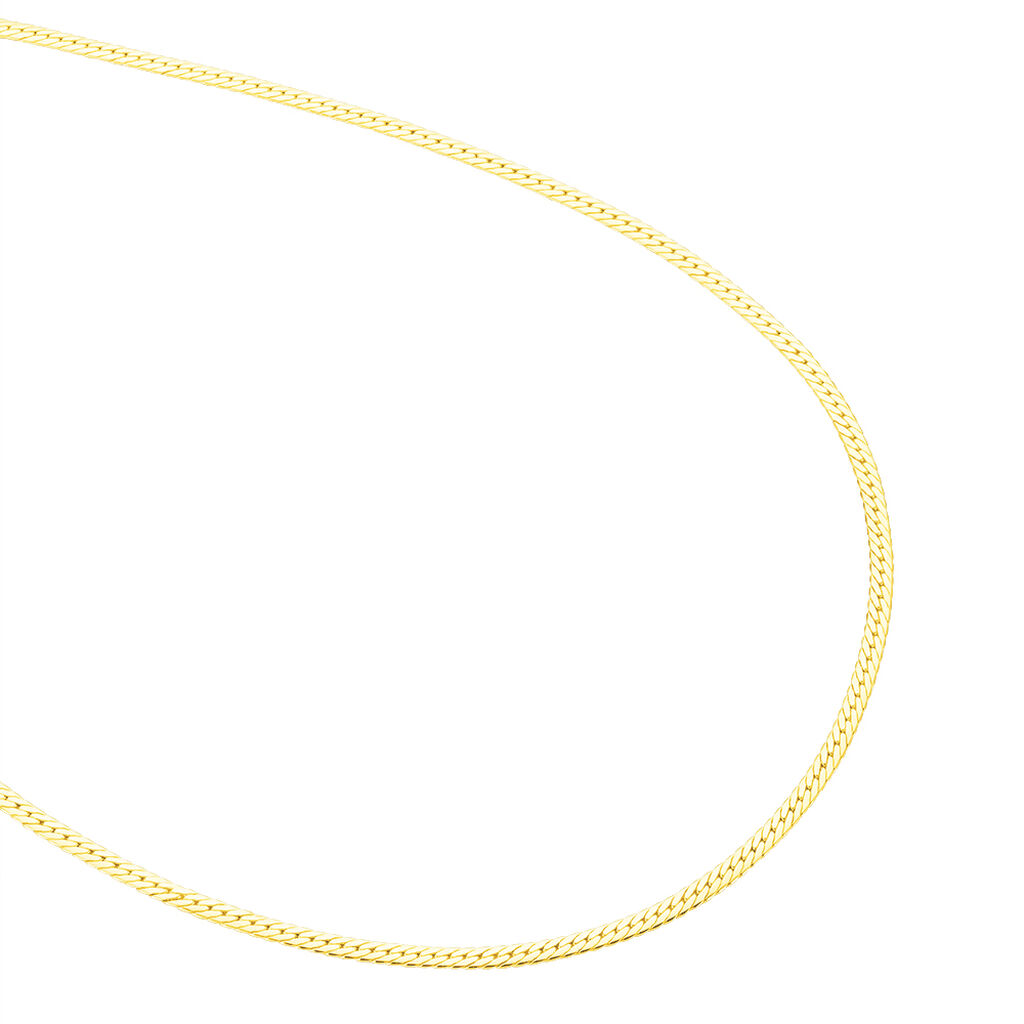 Collier Vanylleae Maille Anglaise Or Jaune
