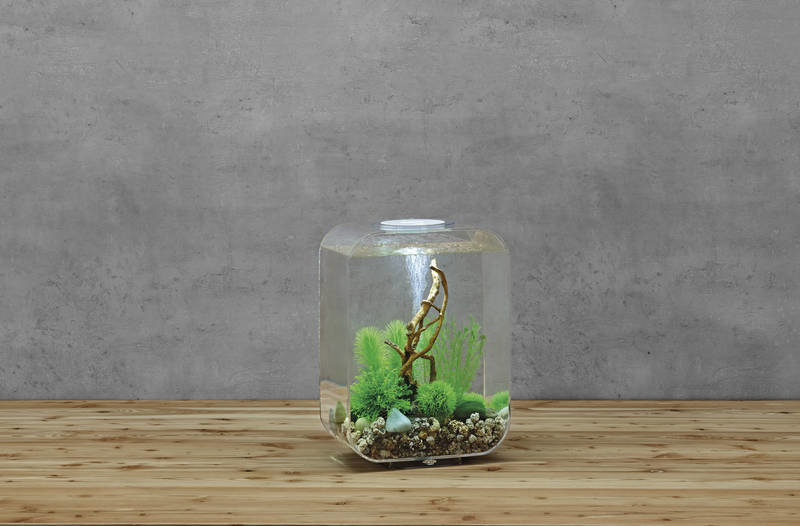 biOrb Life 15 LED Clear
