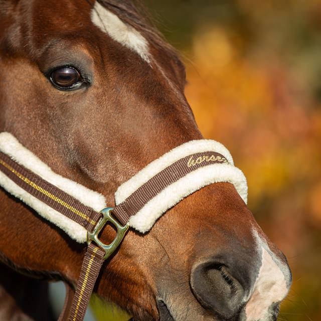 Halster HORSEGEAR HGLyx Donkerbruin