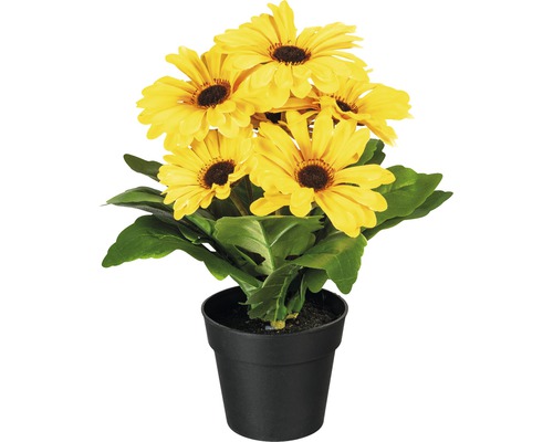 Kunstgerbera in een kunststof pot, hoogte: 27 cm, geel