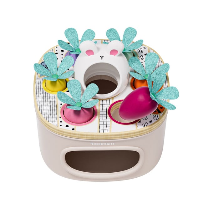 Top Bright - Sortierspiel Karotte - 9 Teile