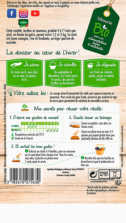 Graines de Courge Butternut bio Vilmorin
