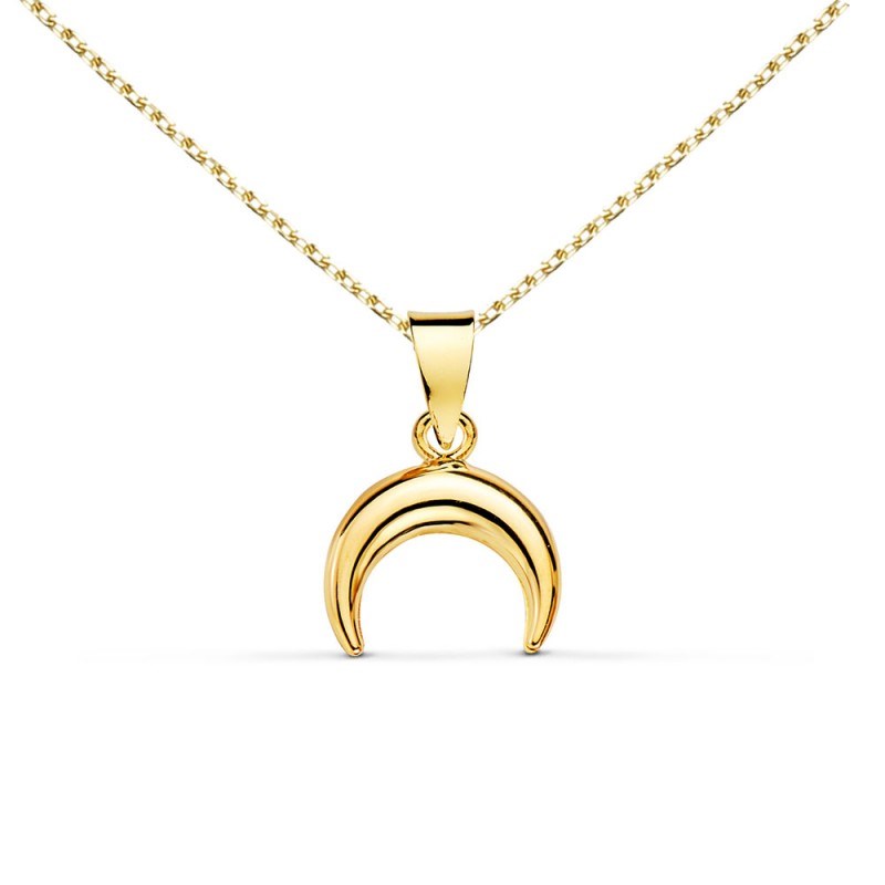 Collier - Pendentif Or 18 Carats 750/000 Jaune  - Corne - Chaine Dorée