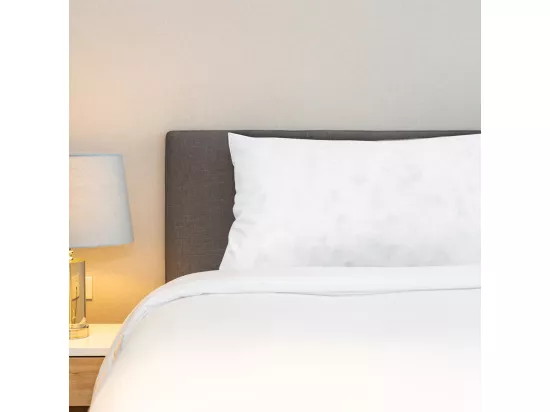 BELLECOUR LITERIE | Oreiller 40x60 cm CHAMBORD | Duvet & Plumes
