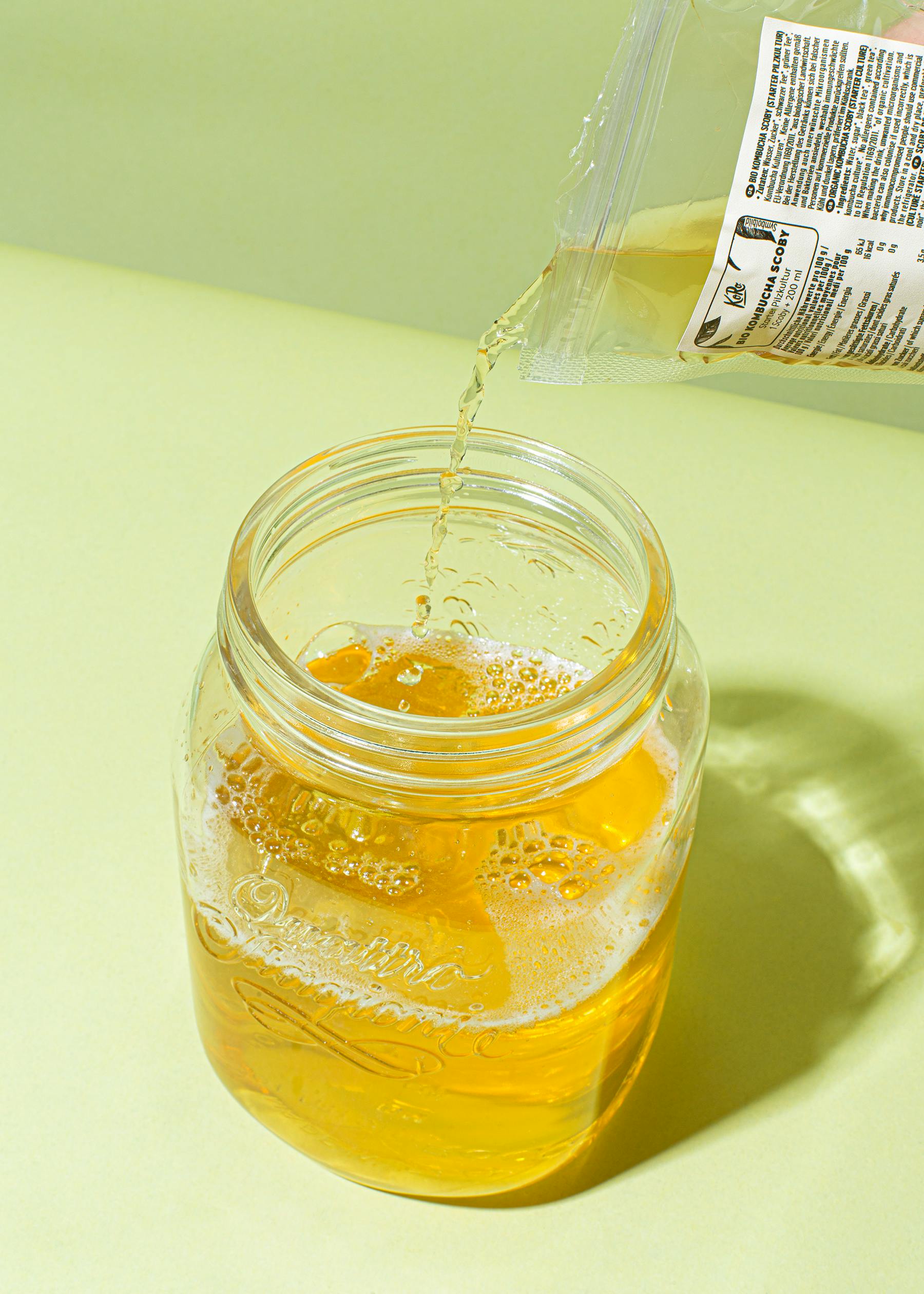 Bio Kombucha Scoby