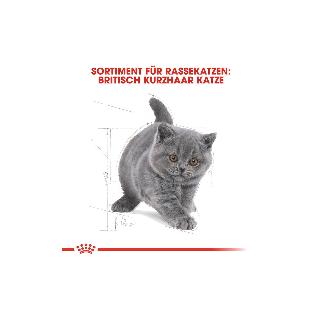 ROYAL CANIN British Shorthair Kitten 400 g