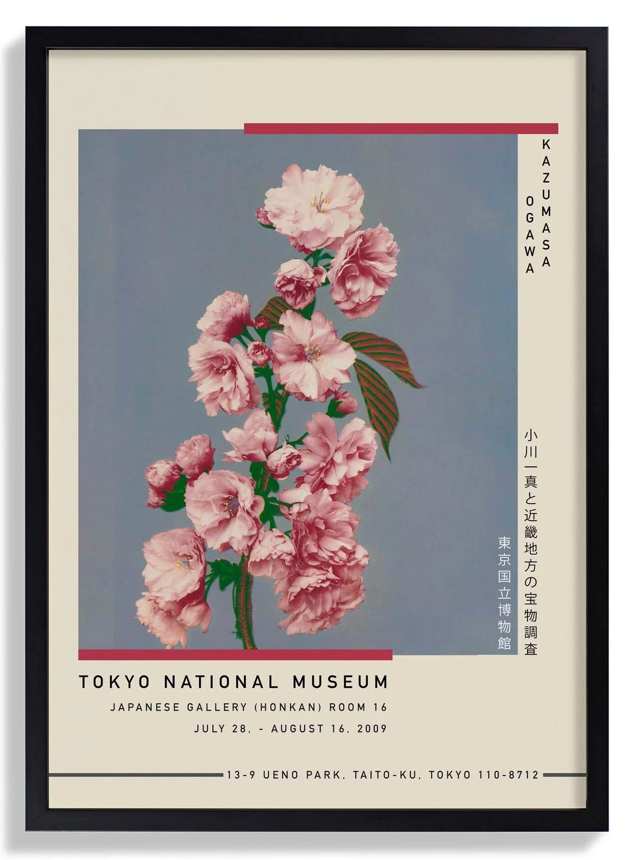 Kirschblüte von Kazumasa Ausstellung