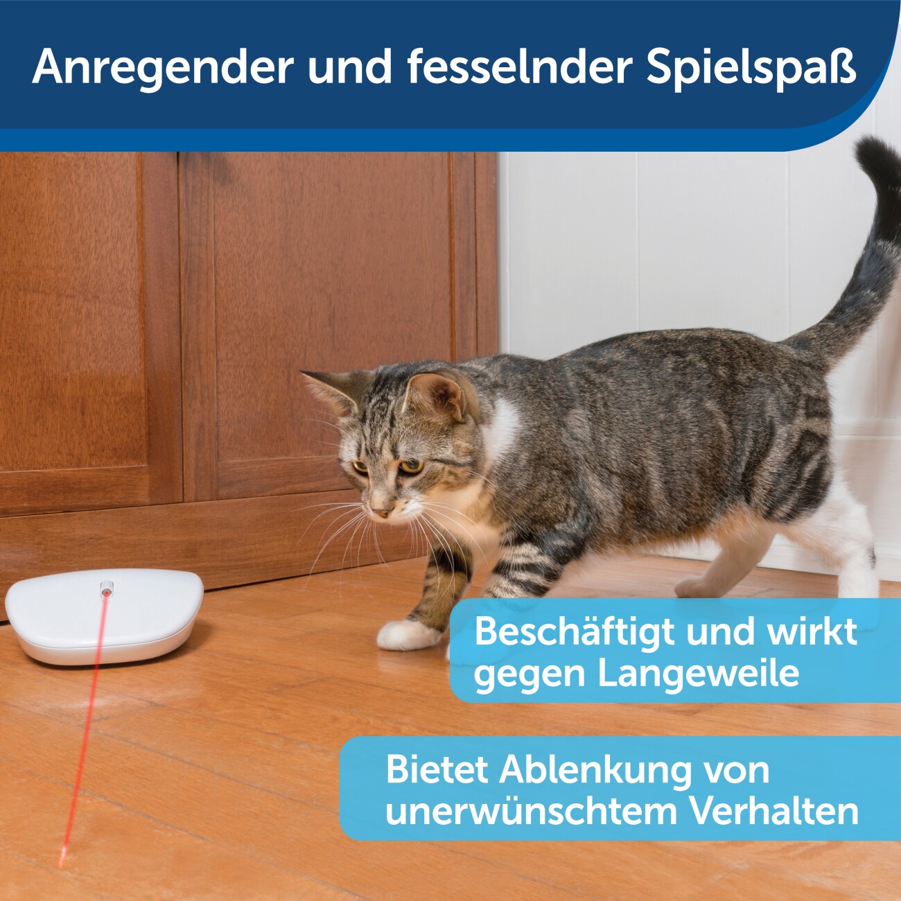Laser Tail Automatisches Laserlicht, Katzenspielzeug