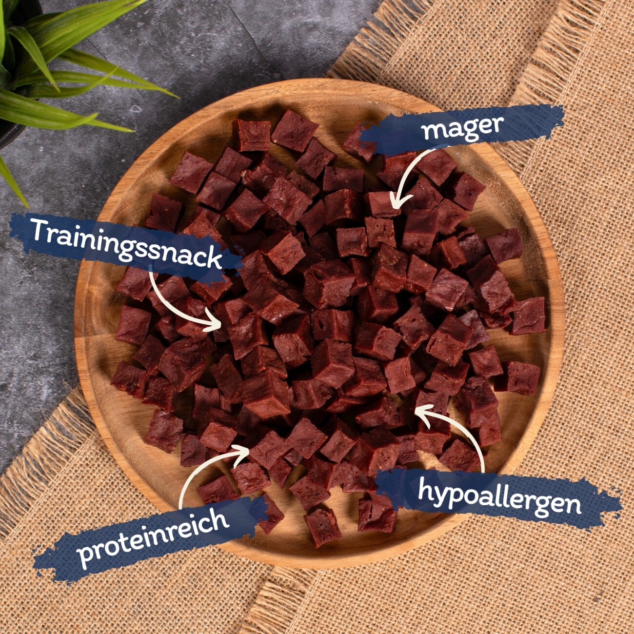 Lyra Pet Pferdefleischwürfel 1 kg