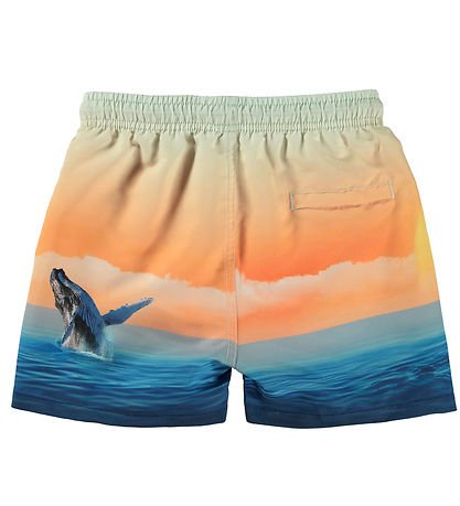 Molo Bådeshorts - UV50+ - Niko - Ocean Smile
