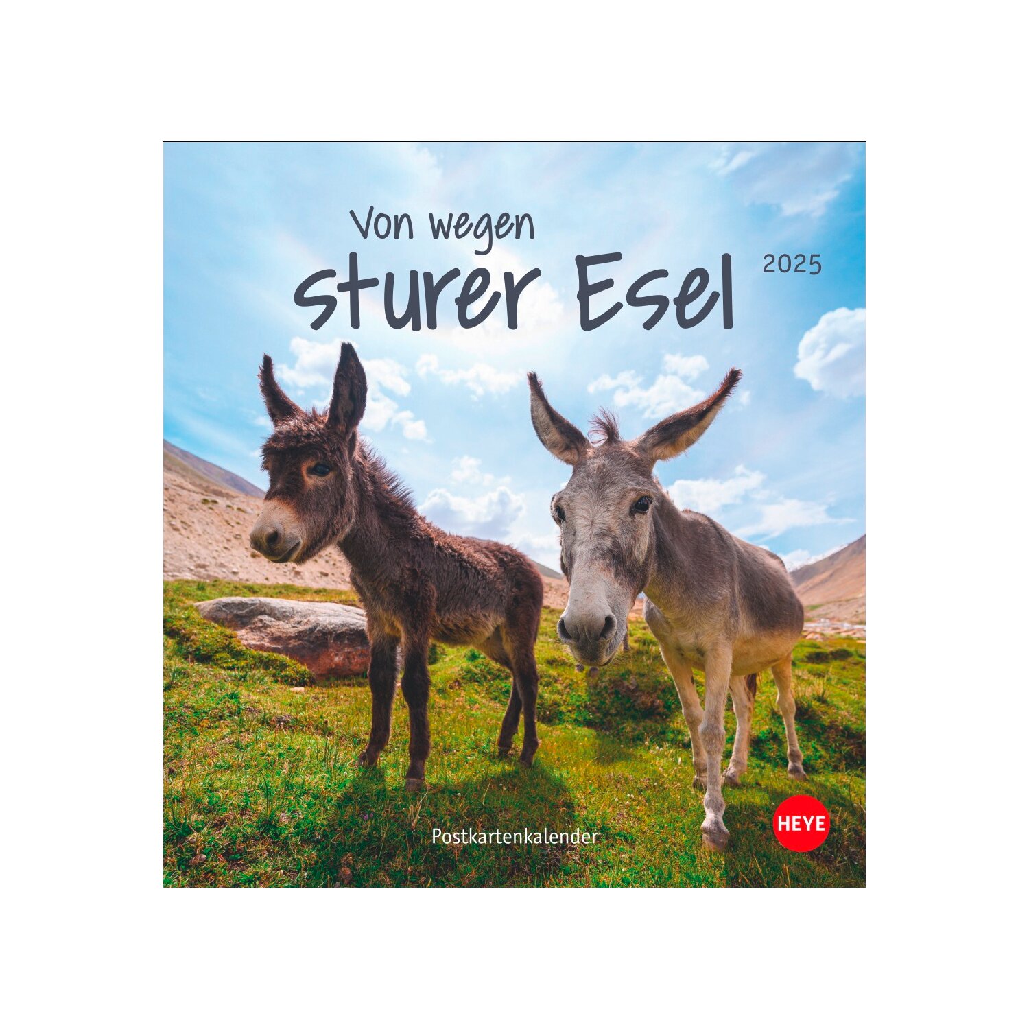 Postkartenkalender Esel 2025