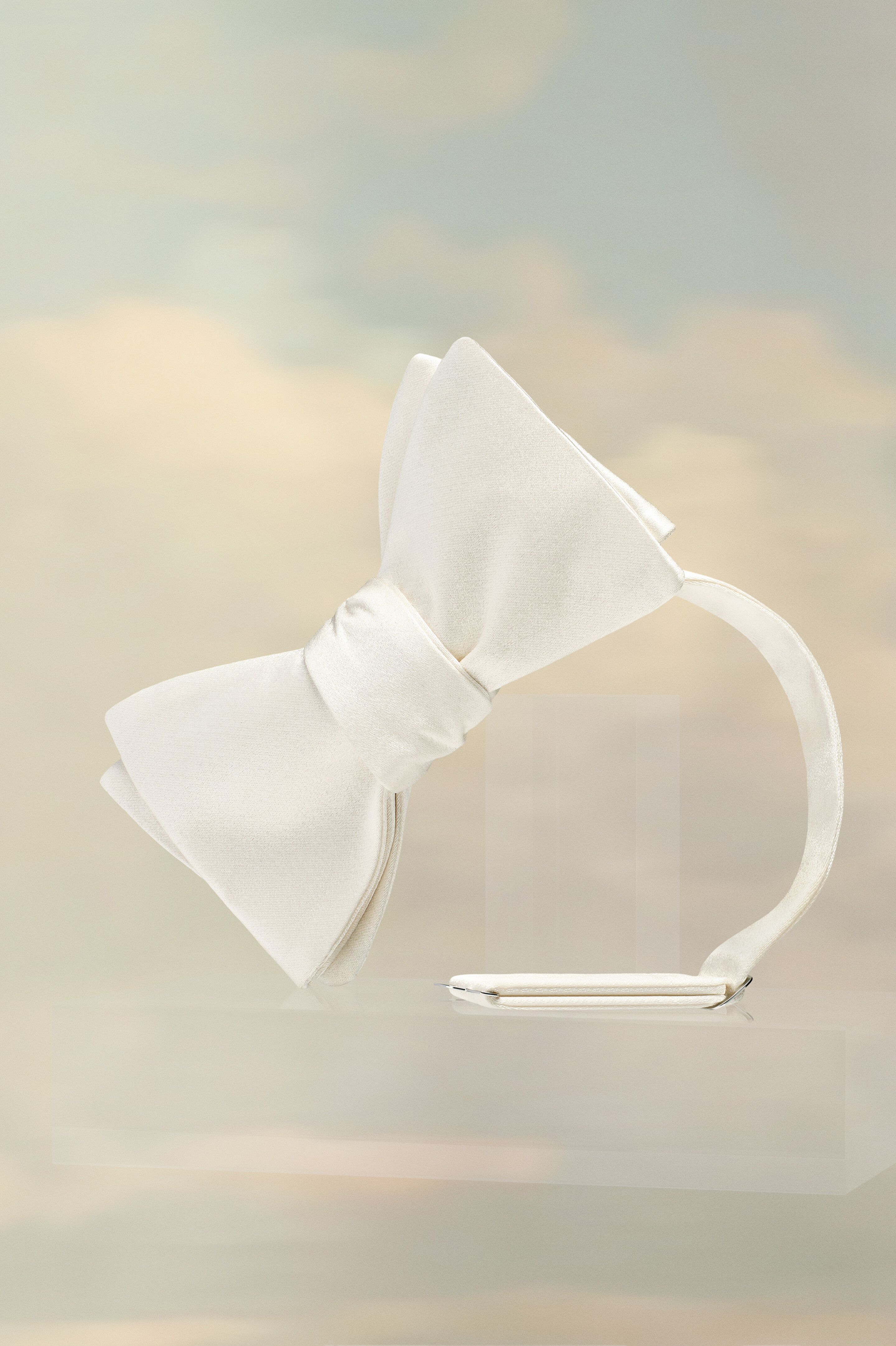 Nœud papillon Blanc