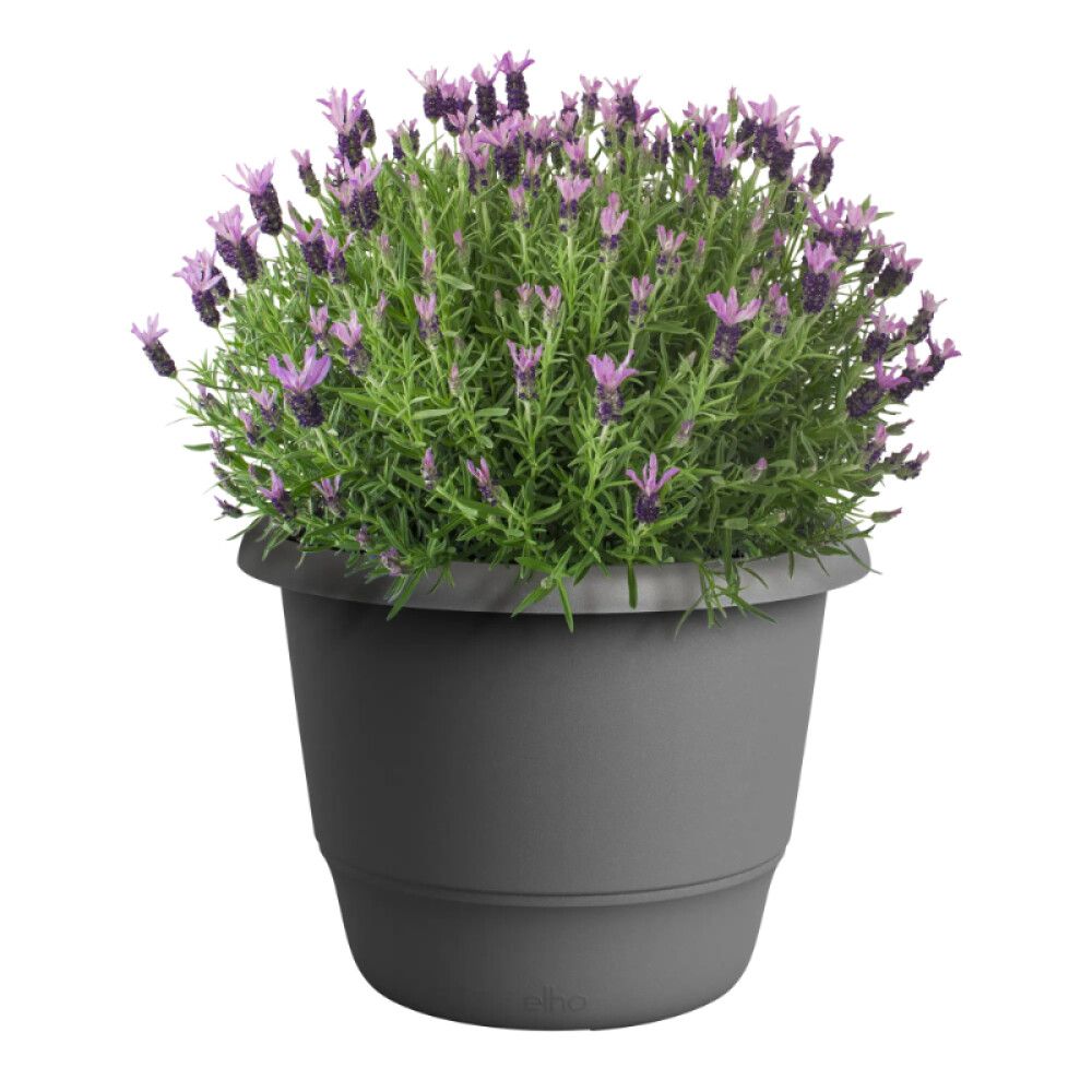 BLOMSTERPOTTE ELHO AMIGAUTE39 CM SVART