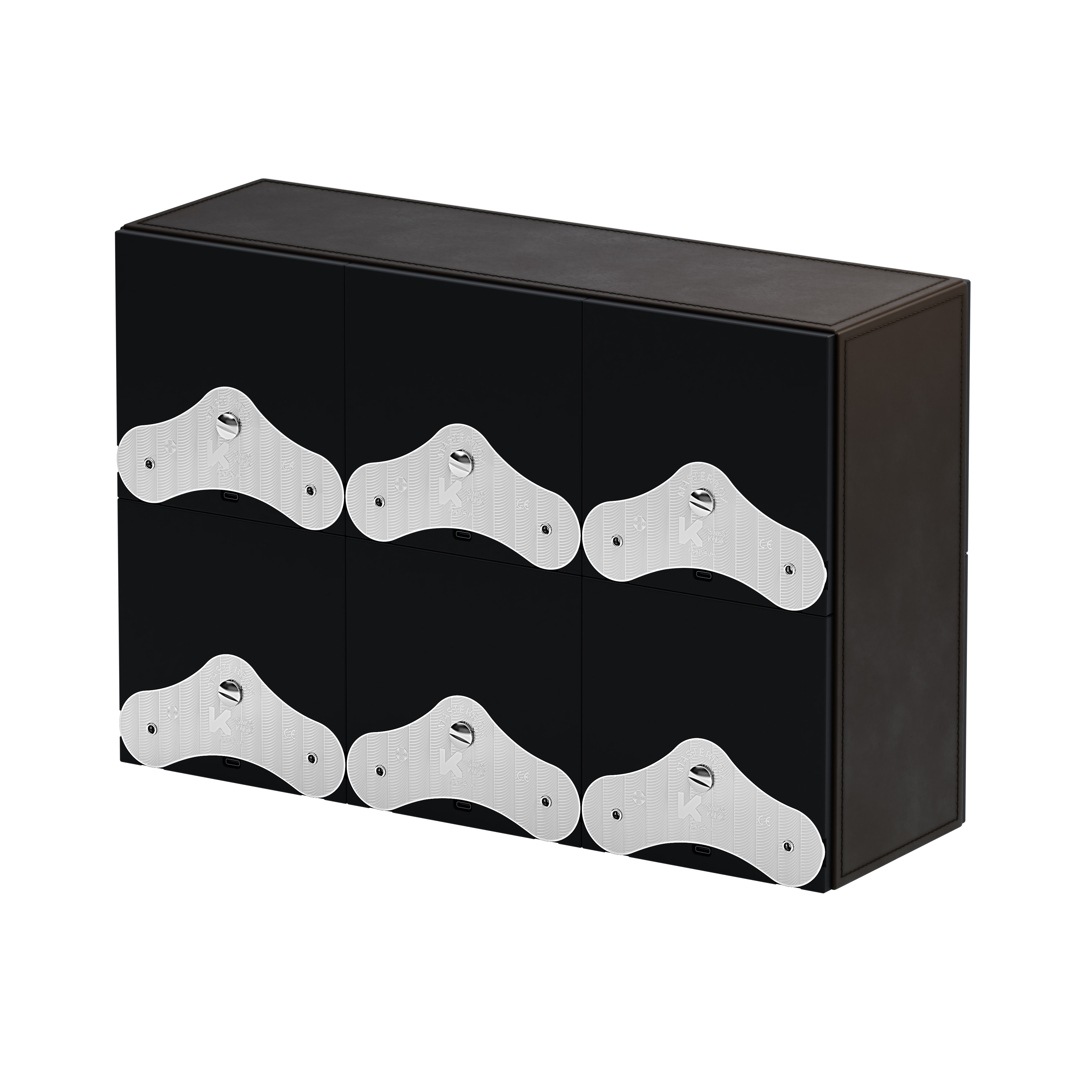 SwissKubik Masterbox Leder Dunkelbrown - 6 Uhren