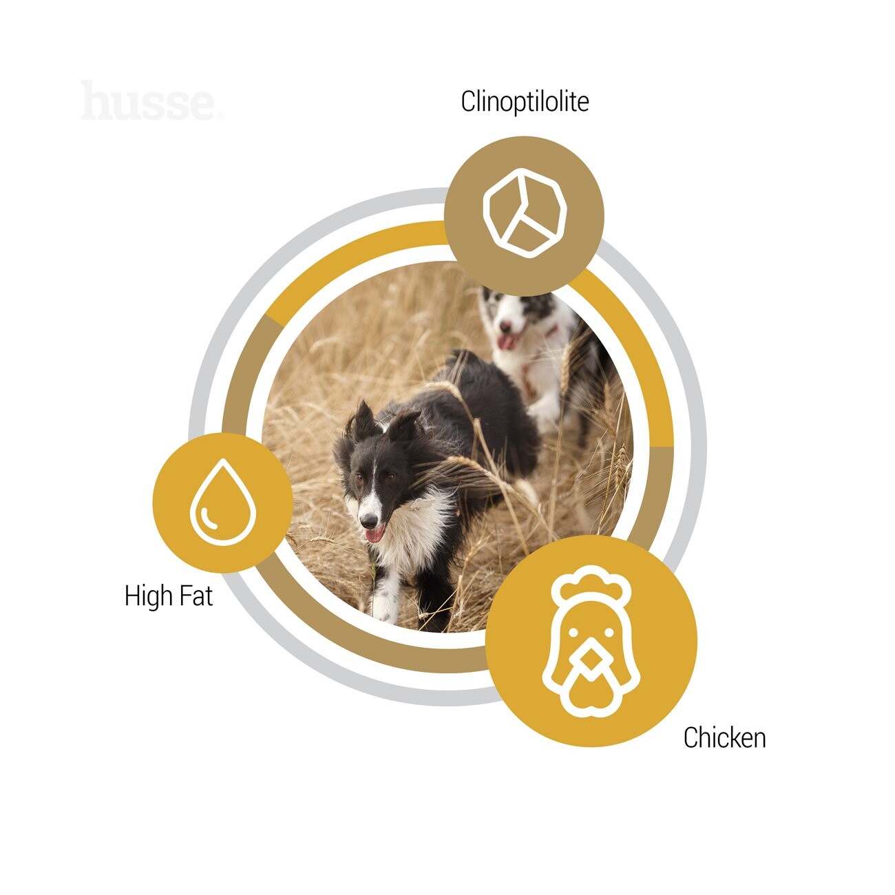 husse Opus Farm Huhn & Kartoffel