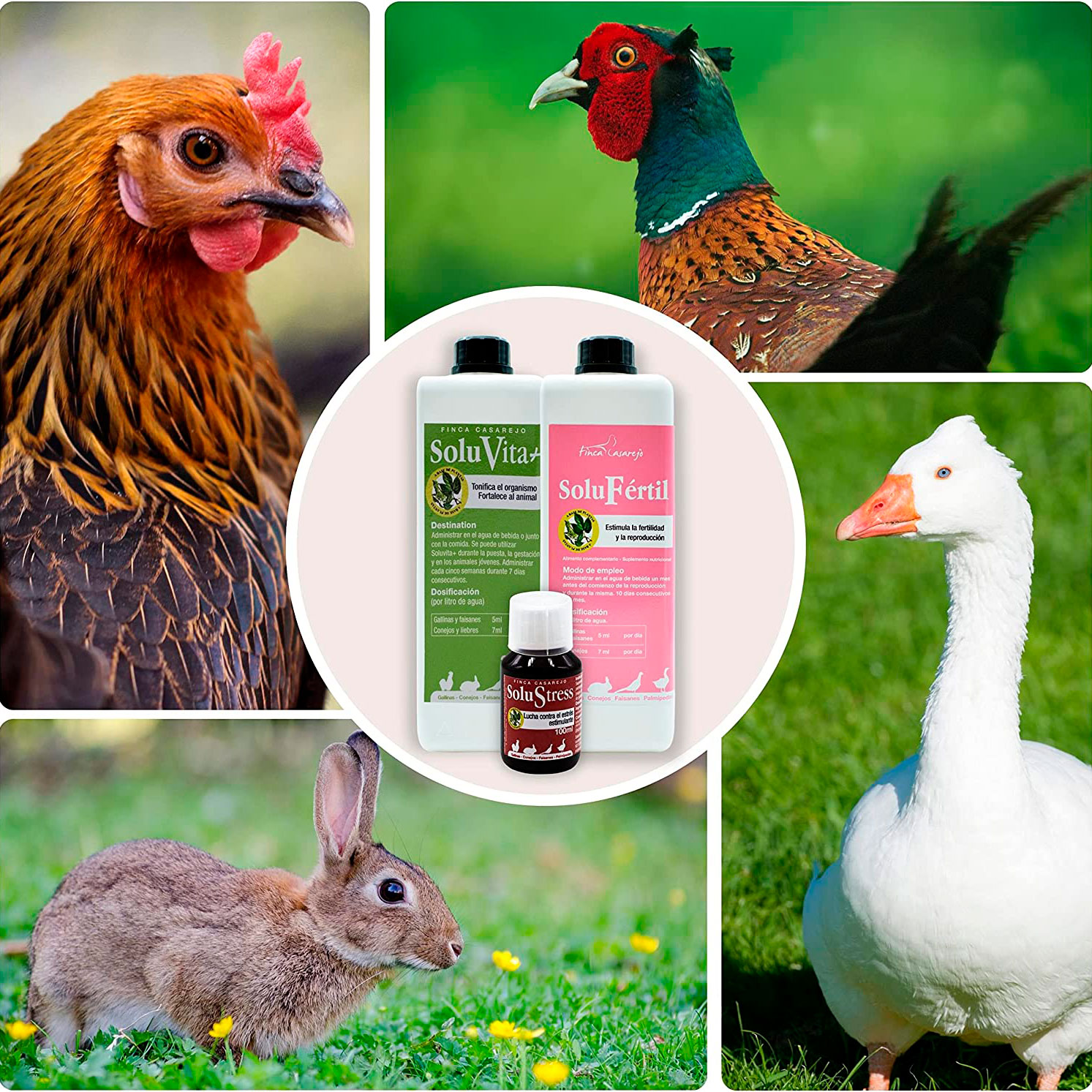 Finca Casarejo, estimulante natural de fertilidade para aves e coelhos.