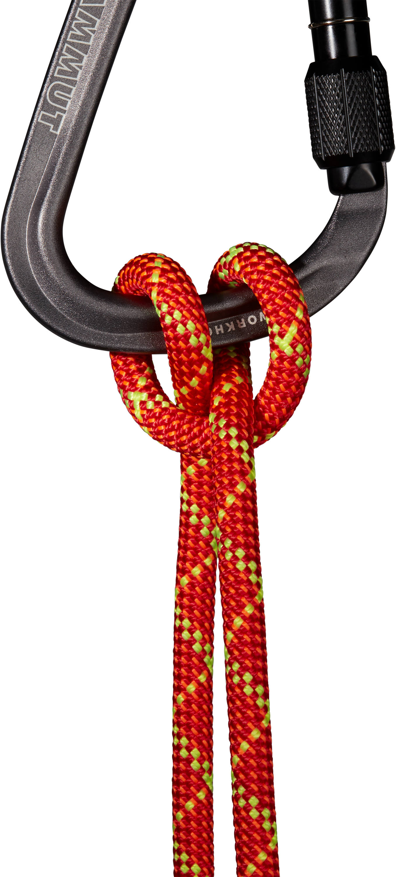 Mammut 8,0 Alpine Core Protect Dry Rope