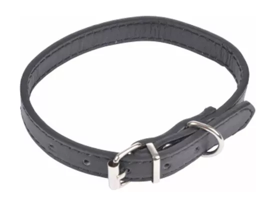 Collier pour Chien 