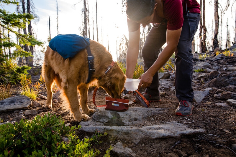 Ruffwear Quencher Hundenapf für unterwegs fired brick M