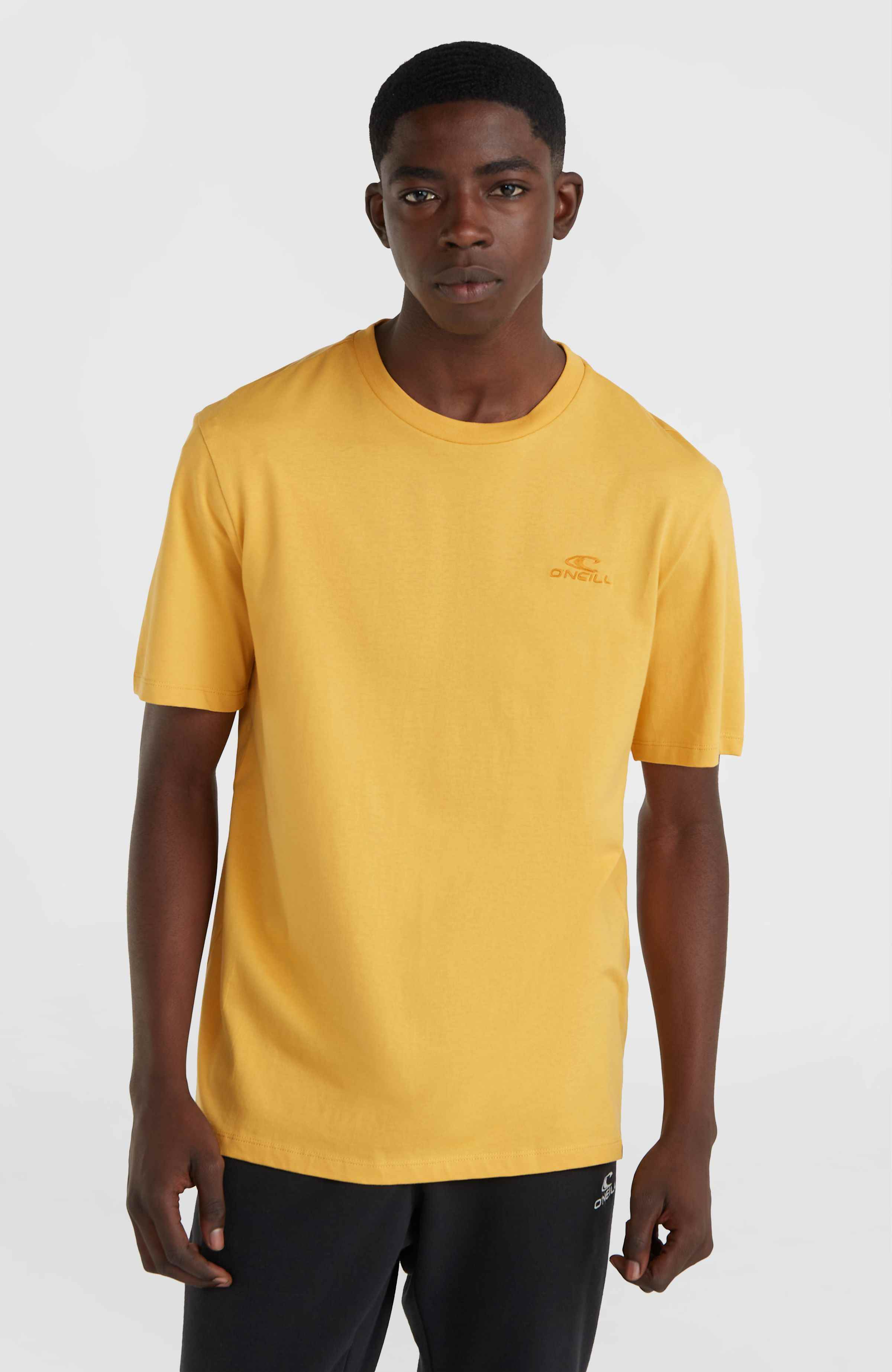 Small Logo T-shirt O`Neill Goud