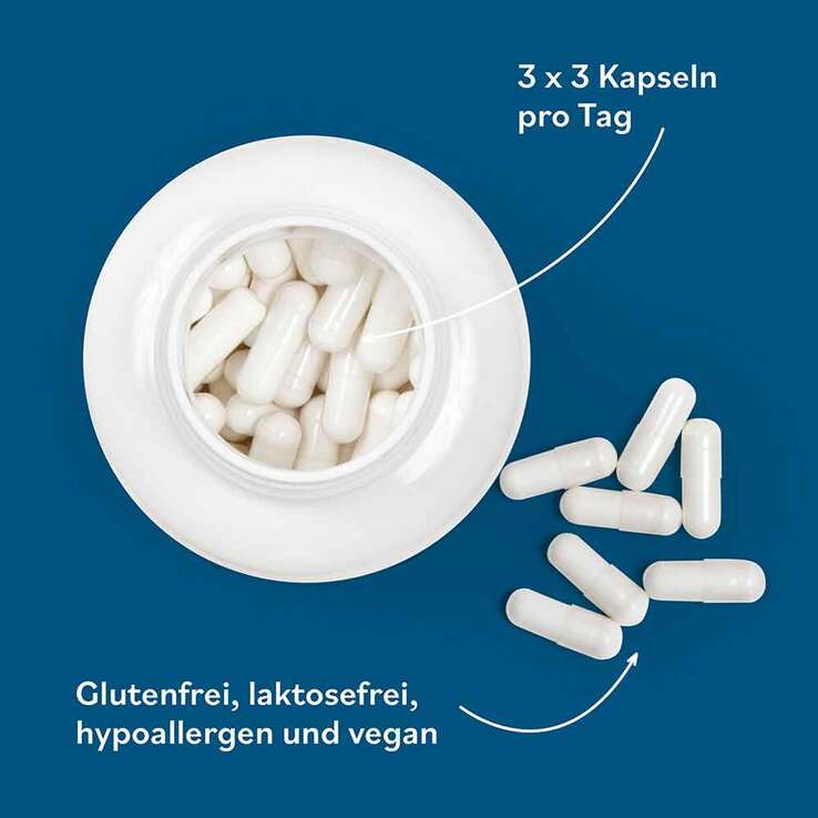 Jab Base Kapseln, 270 St