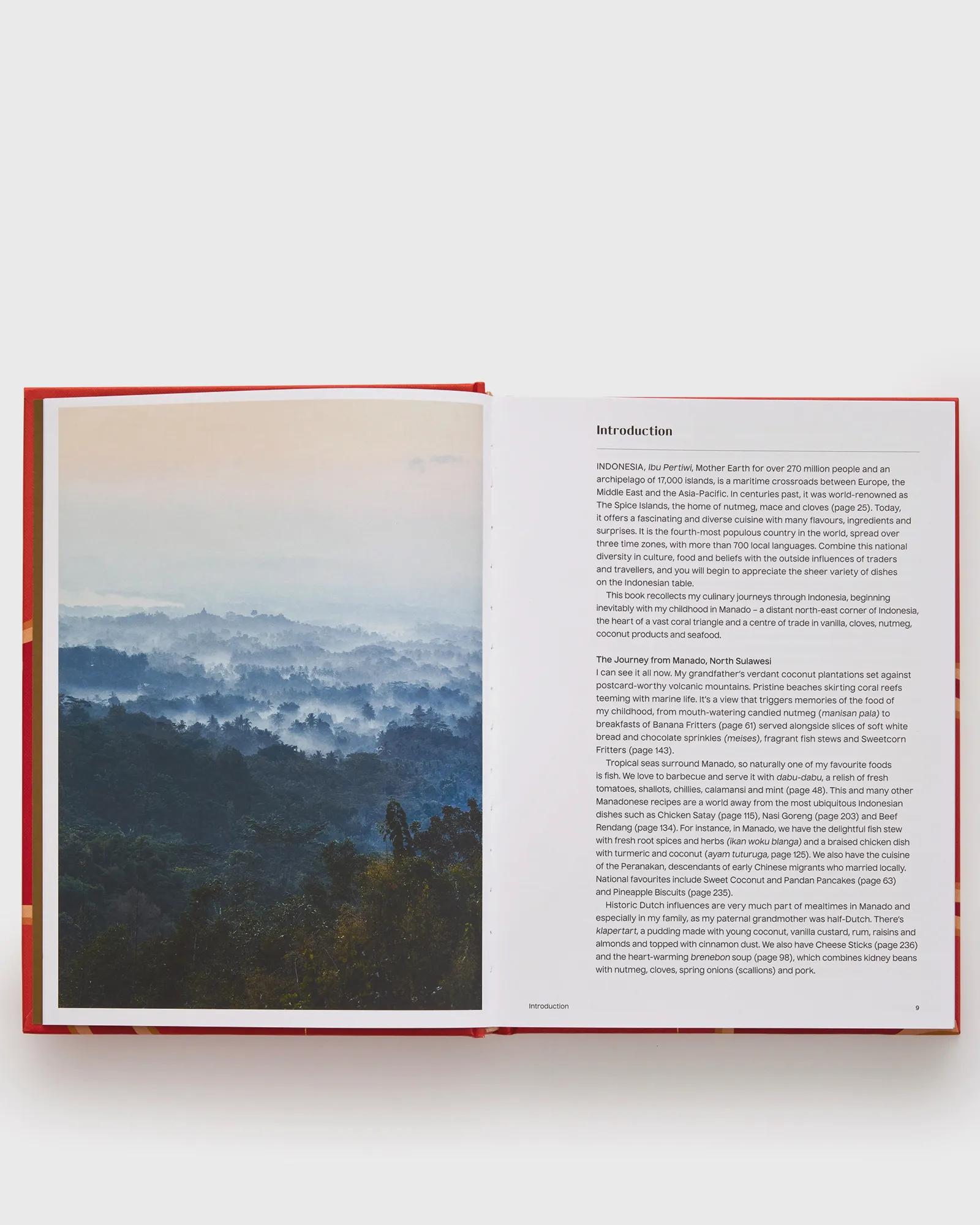 PHAIDON 