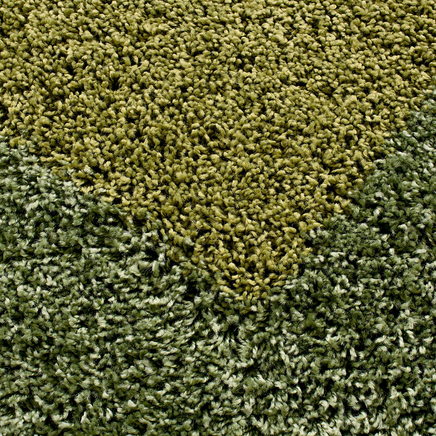 Designer Hochflor Teppich, Langflor Shaggy Teppich 2 farbig Bordüre Muster