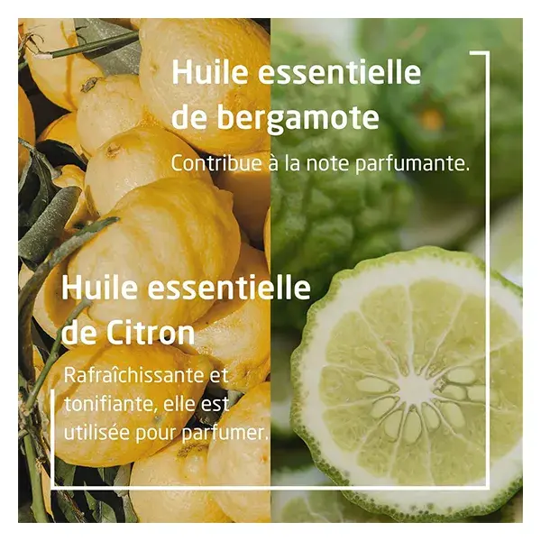 Desodorante em bastão Weleda Citrus Bergamot 50g
