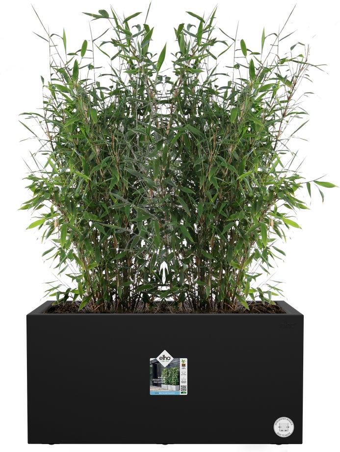 Elho plantenbak Vivo Next zwart 59 x 29,5 x 29,2 cm