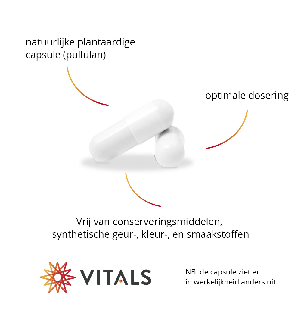 Vitals Berberine 500 mg (60 capsules)
