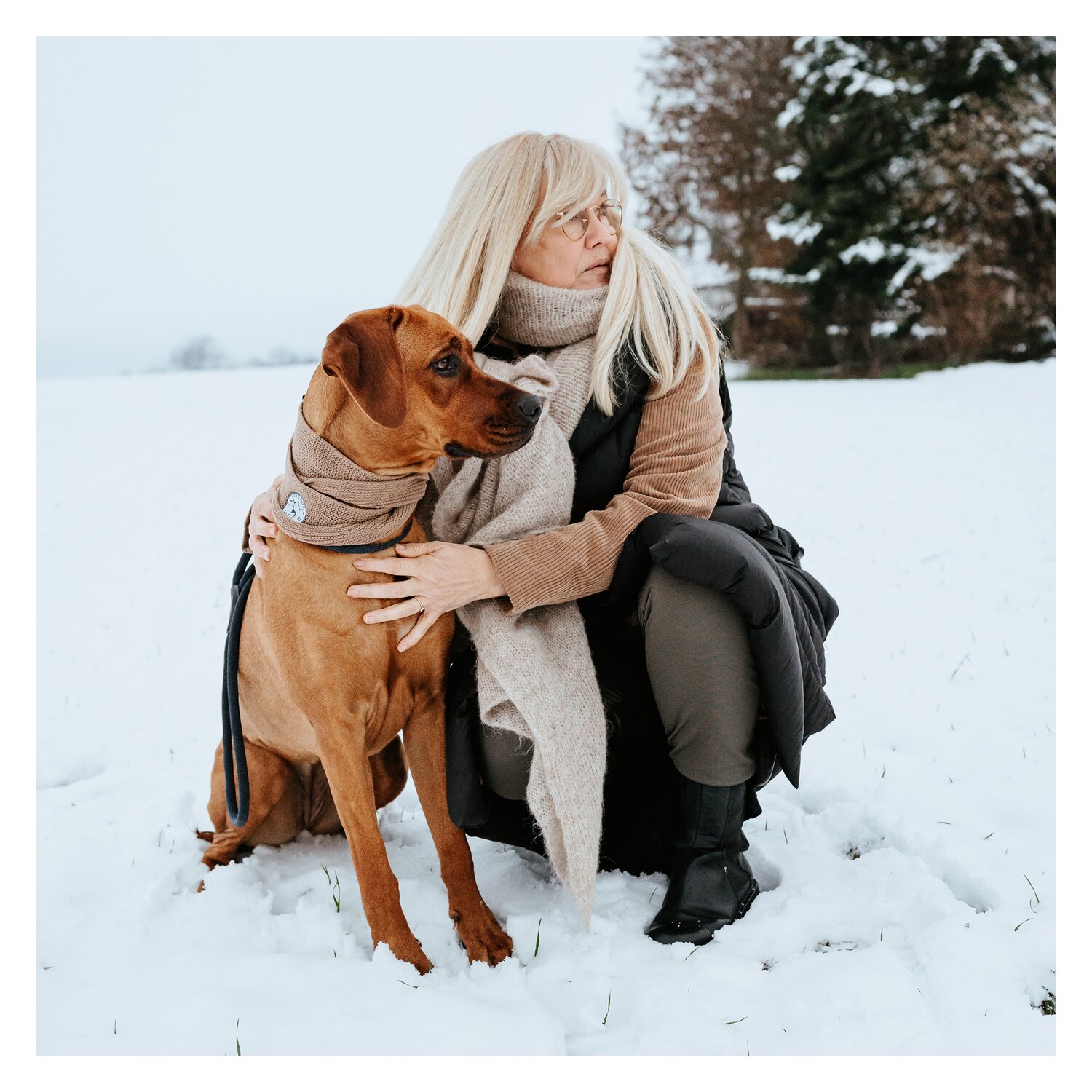 HUNTER Hundeschal Malmö  - beige