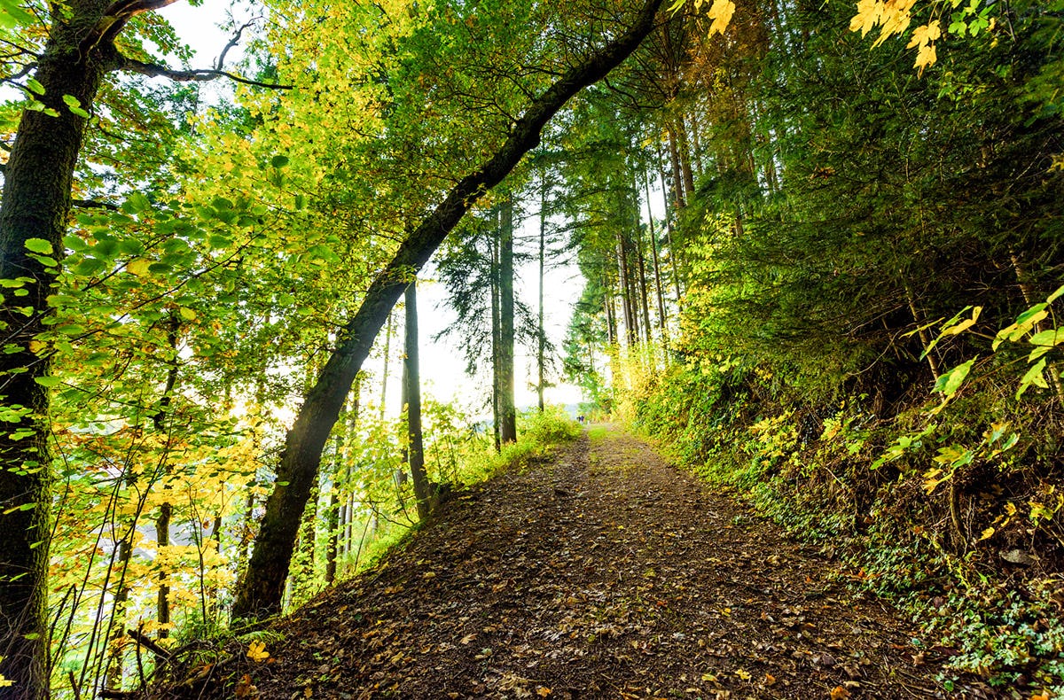 Romantikurlaub in der Blockhütte Schwarzwald für 2 (2 Nächte)