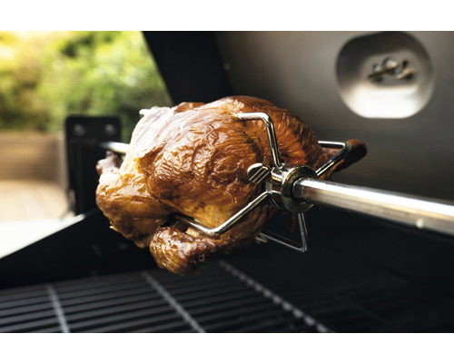 Grillspitmotor, grillspit, Nexgrill roestvrij staal