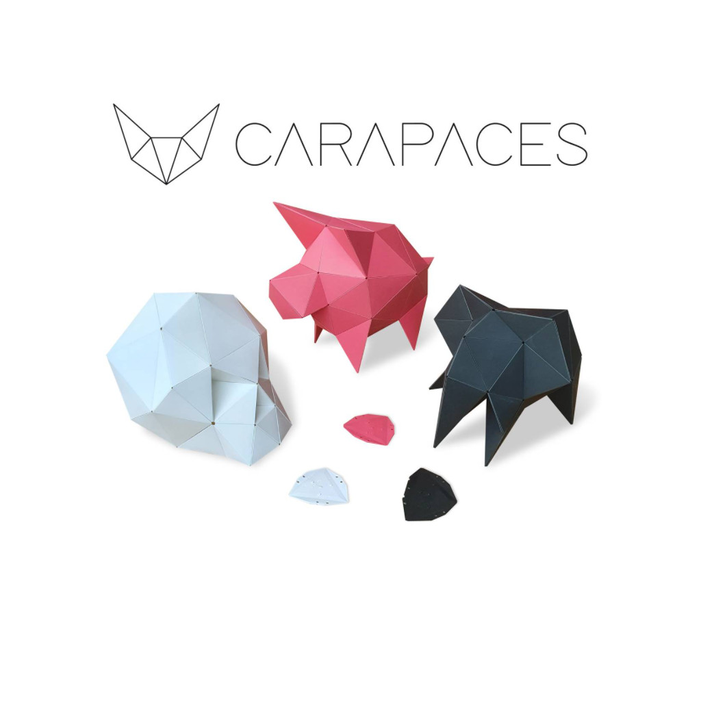 Carapaces By Doug : Rose