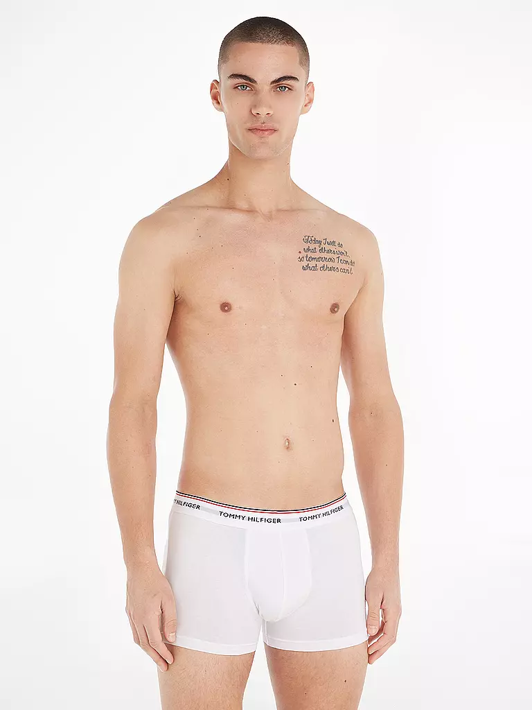 TOMMY HILFIGER Pants 3er Pkg grey grau