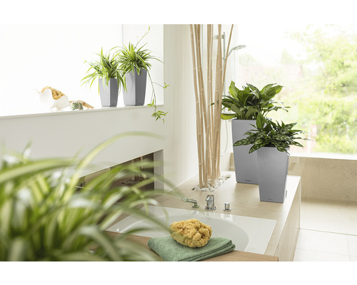 Lechuza Cubico 22 plantenbak complete set H 41 cm zilver