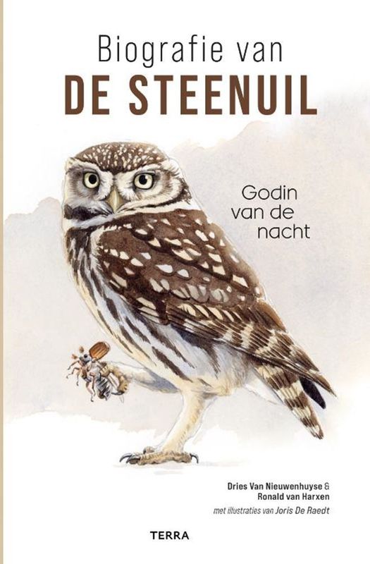 Biografie van de Steenuil - Natuur - Walter Belis
