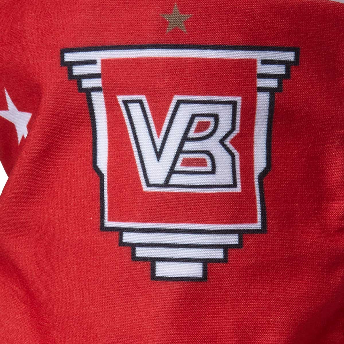 Vejle Boldklub Eigil Halsedisse