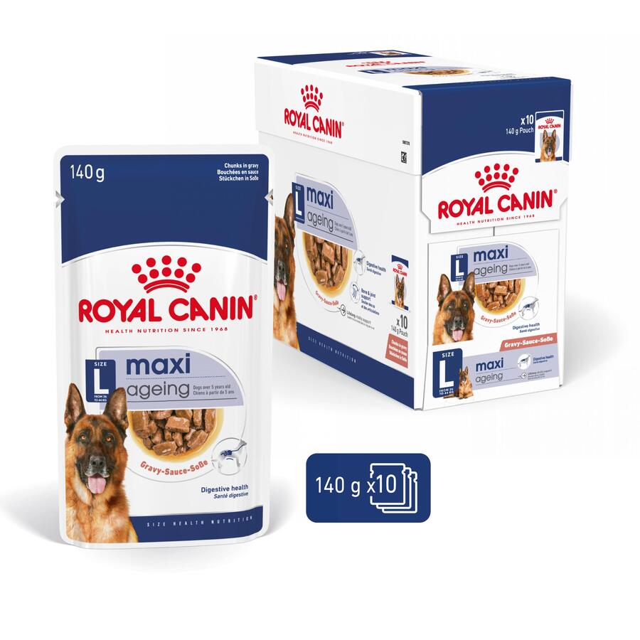 Sachê Royal Canin Maxi Ageing em molho para cães