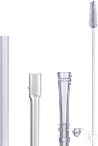 Nûby Set Remplacement Paille Rétractable Anti-Goutte Flip-It +6 Mois 1 Set