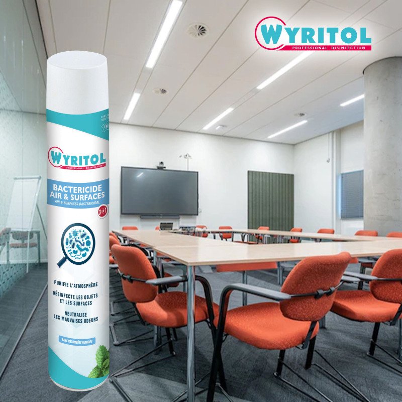 Désodorisant bactéricide Wyritol Professional Desinfection menthe - Aérosol 750 ml