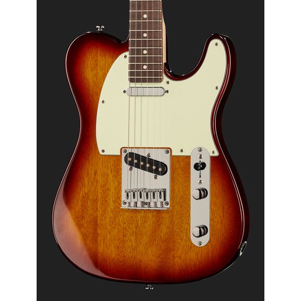 Larry Carlton T3 TS