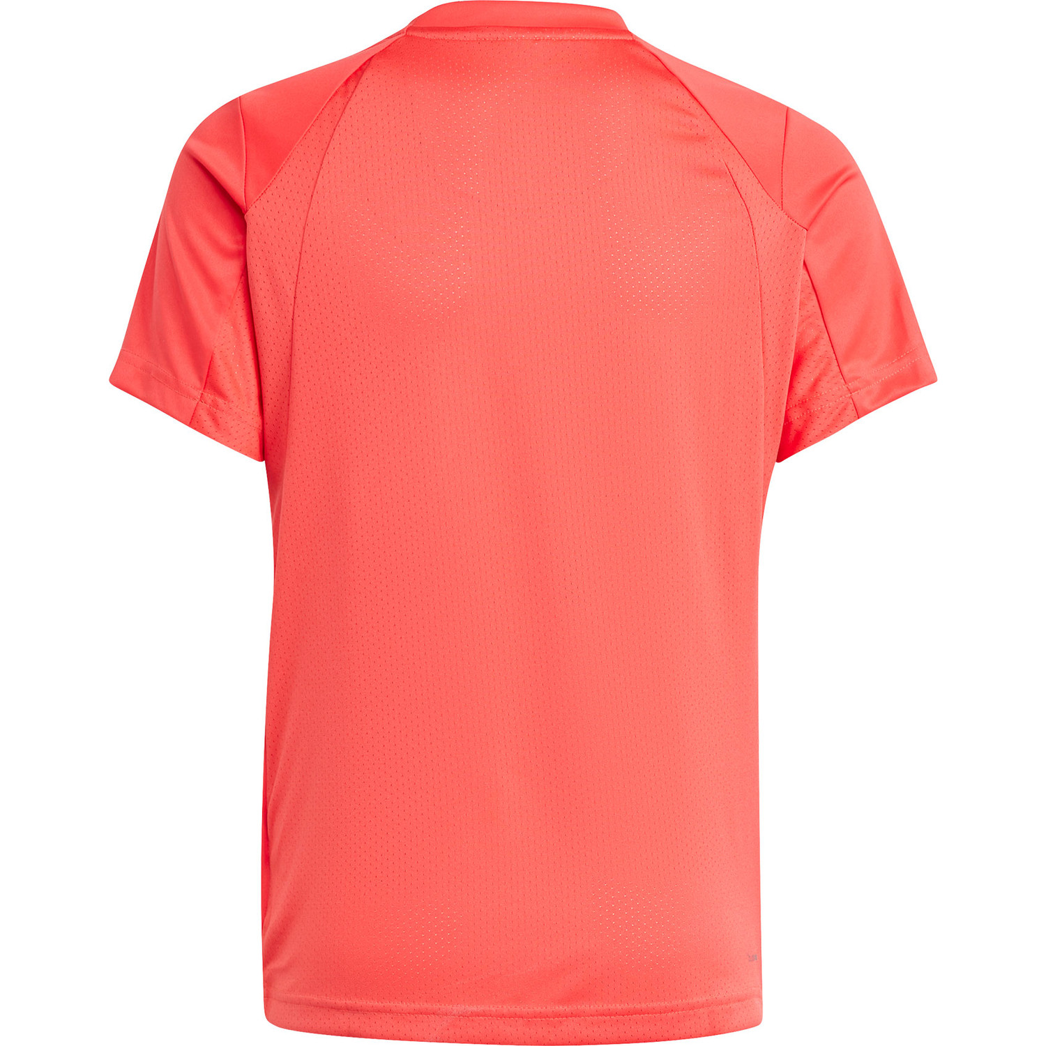 adidas Club Tee Jongens