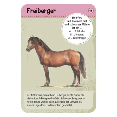 moses. Expedition Natur 50 Pferde und Ponys