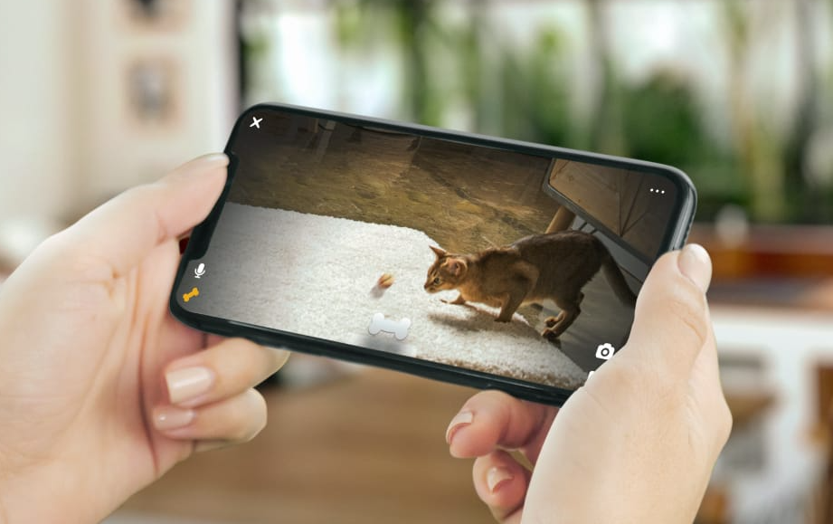 Bites 2 Lite Smarte Haustier Kamera 1080p HD mit Leckerli Ausgabe / 2-Wege-Audio / Nachtsicht iOS/Android (854592007387) - Weiss